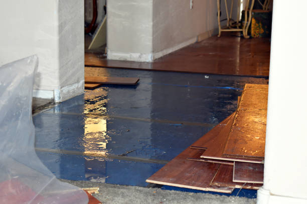 Professional Flood Damage Repair technician working in Dudley, NC